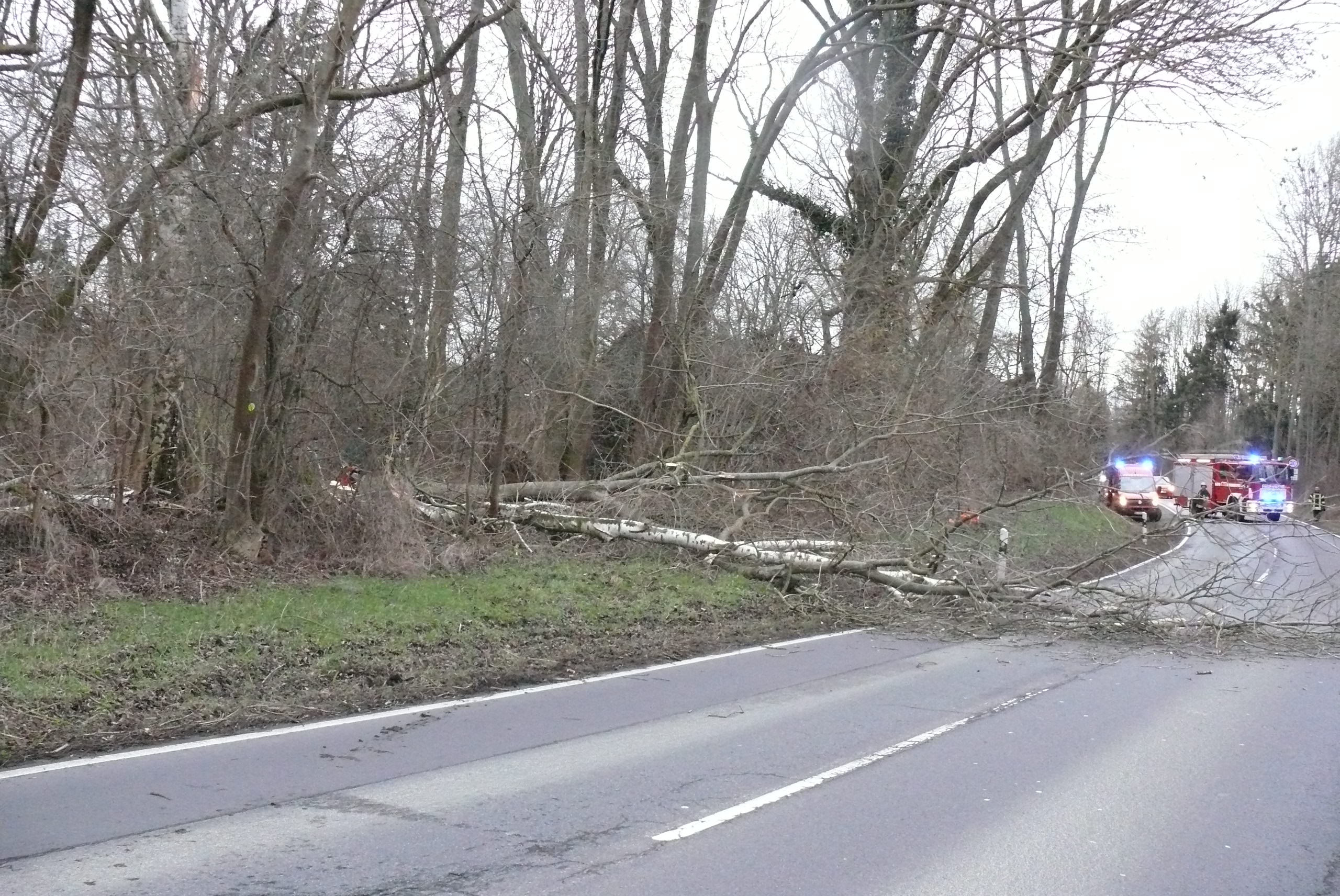 droht Baum zu stürzen Feuerwehren der Gemeinde Groß Zimmern